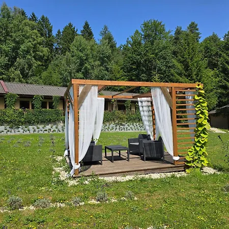 Lesní Lázně