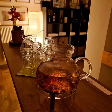 Lesni Lazne Hotel 3*