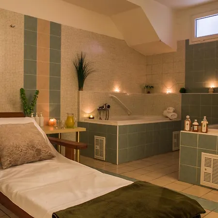 Lesni Lazne Hotell